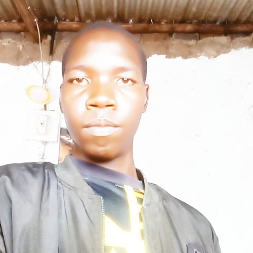 Noah K. profile photo