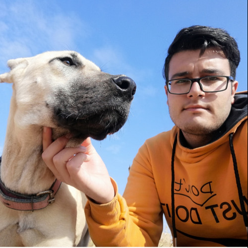 Javad H. profile photo