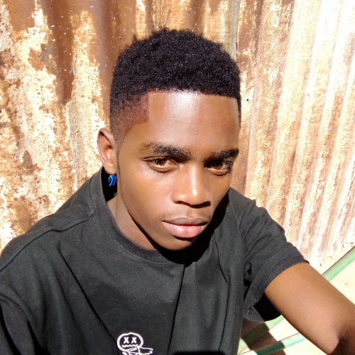 Dominic O. profile photo