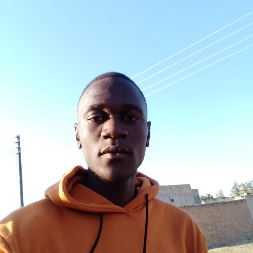 Kingsley  K. profile photo
