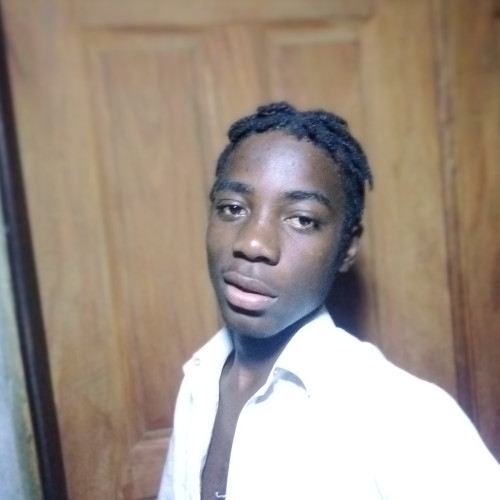 Moustapha  M. profile photo
