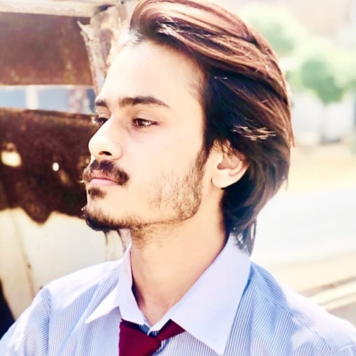 Ali Z. profile photo