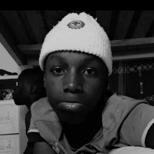 Knox D. profile photo