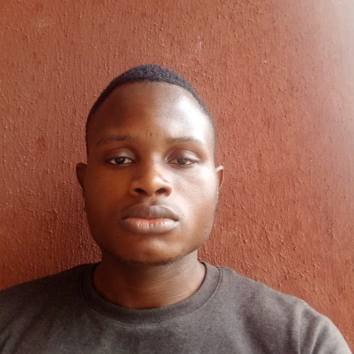 Chibuike  N. profile photo