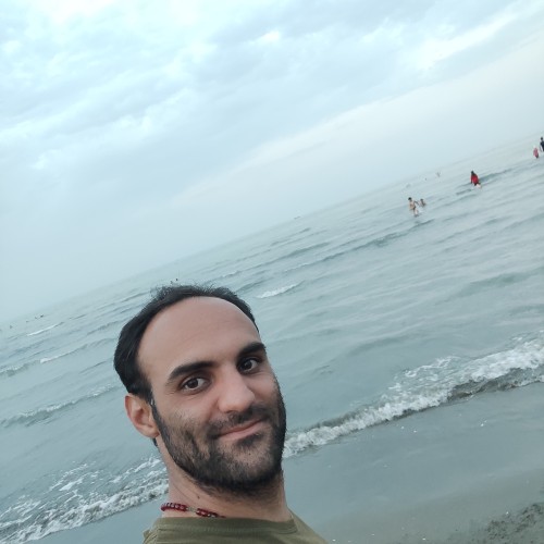 hamed k.