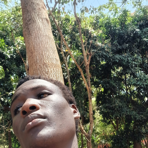 Ivan  O. profile photo