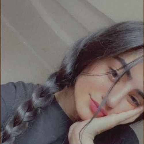 lily z. profile photo