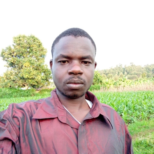 Bonface B. profile photo