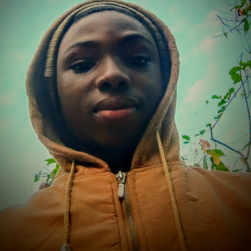 Ige D. profile photo
