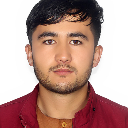 Reza H.