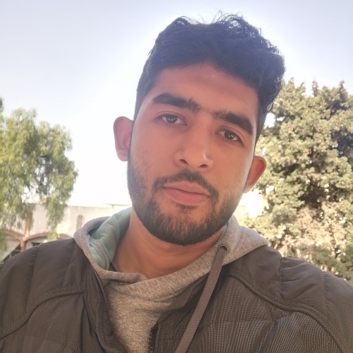 Hamza  H.