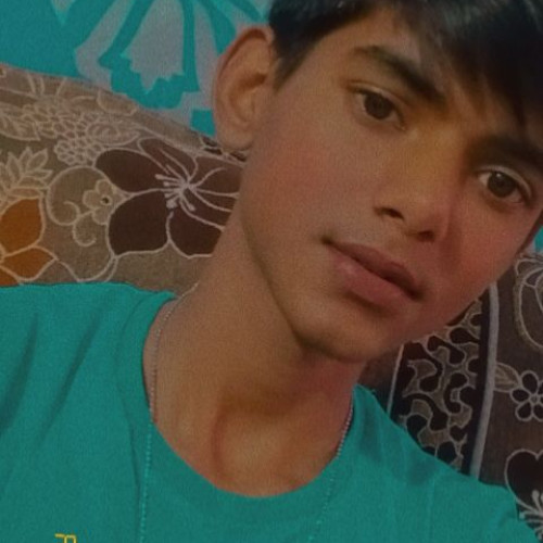 Ayush  S. profile photo