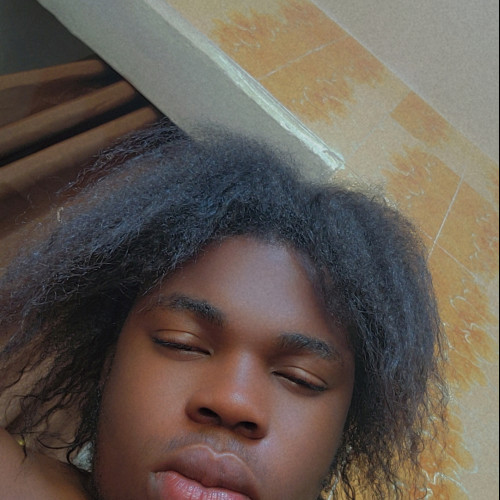 Ekunmidayo S. profile photo