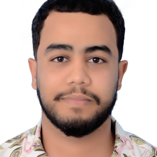 Hamza A.