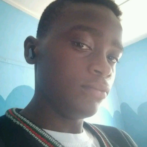 Sonowo M. profile photo