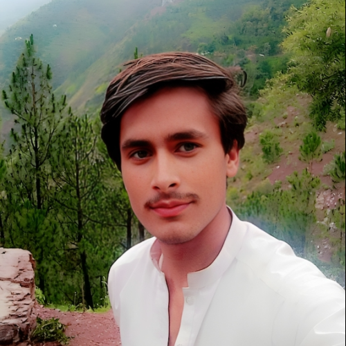 Muhammad  S. profile photo