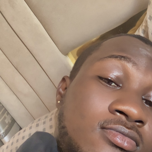 Oluwadamilare  O. profile photo