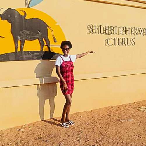 Chisala K. profile photo