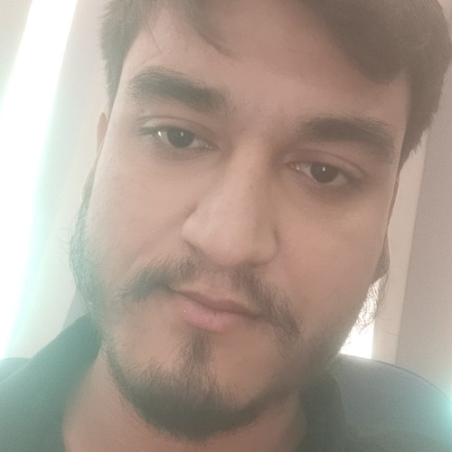 Vishal P.