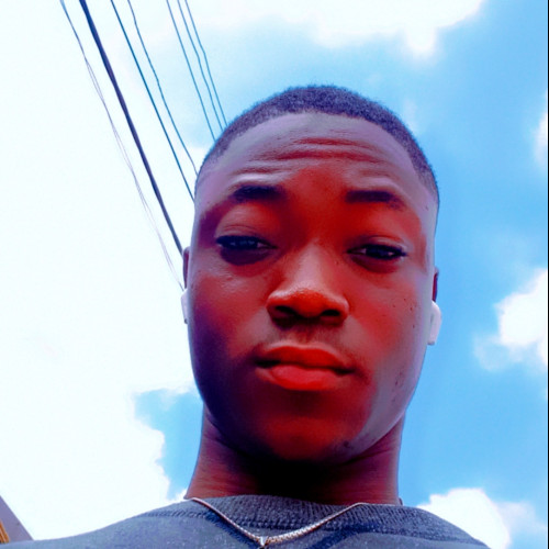 Olayinka O. profile photo
