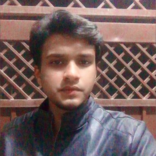 Hamza S.