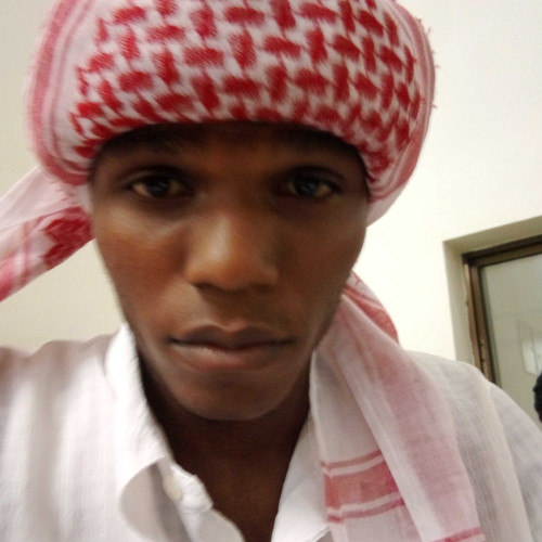 Denis D. profile photo