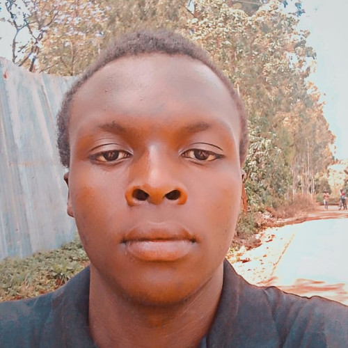 Lewis m. profile photo