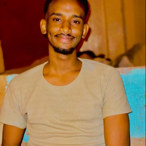 Ahmed A.