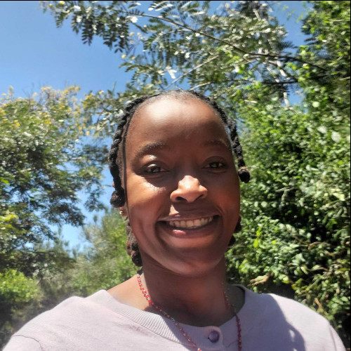 luite c. profile photo