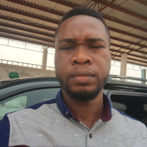 Nzubechi  N. profile photo