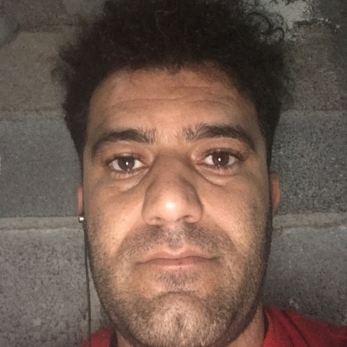 Sajad A.