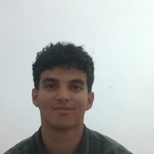 Amine L. profile photo