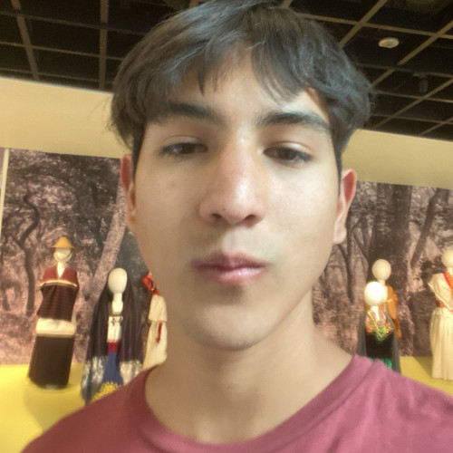 Sebastian C. profile photo
