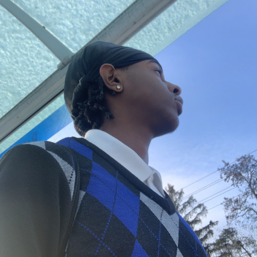 Ali M. profile photo
