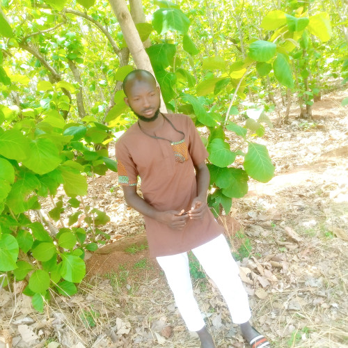 Ibrahim Baba  S. profile photo