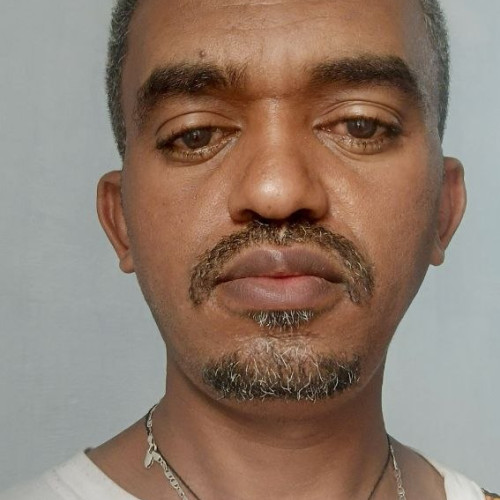 Habtamu H. profile photo
