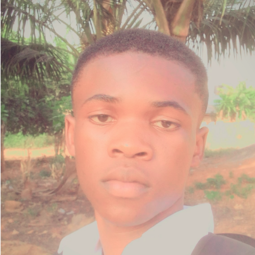 Dankwah  S. profile photo