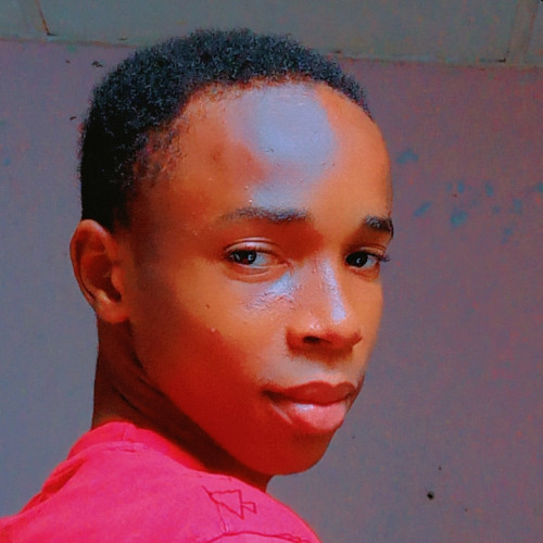 Daniel  O. profile photo