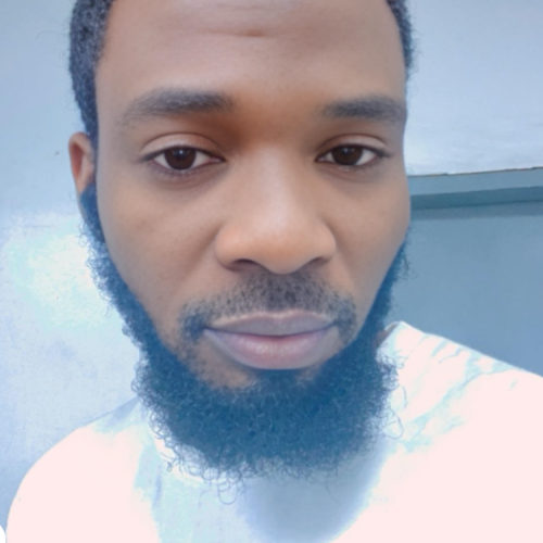 Oluwafemi B. profile photo