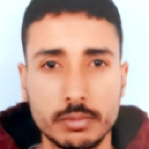 hamza d.