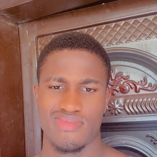 BARTHOLOMEW IZUCHUKWU A. profile photo