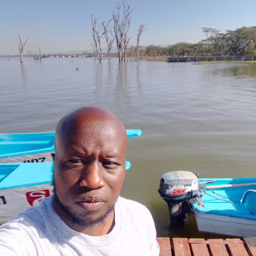 Kennedy K. profile photo