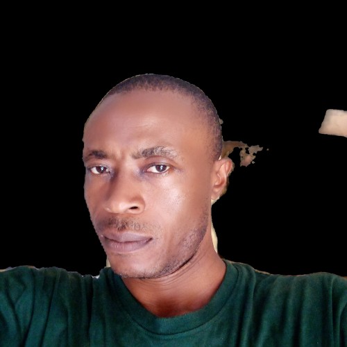 Kingsley  J.