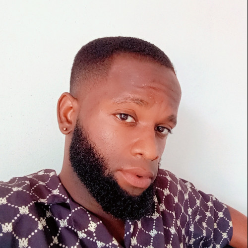Oluwaseyi S. profile photo