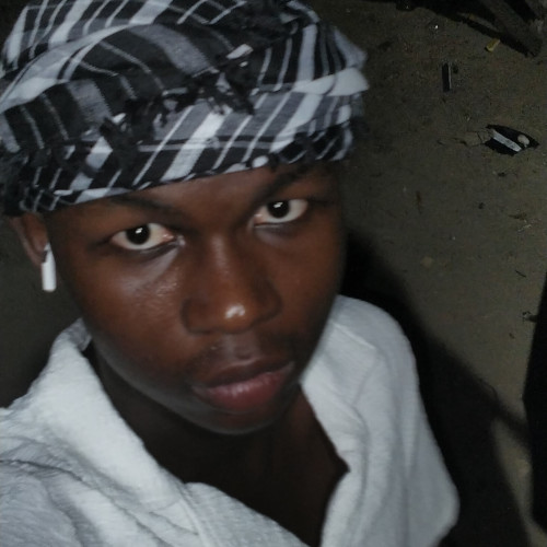 Ali S. profile photo