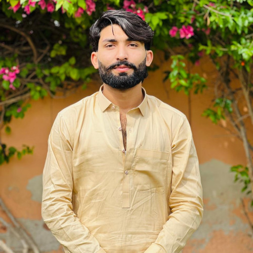 Ameer H. profile photo