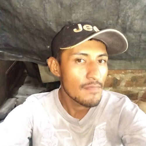 Fernando  P. profile photo