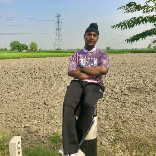 Harmandeep S.