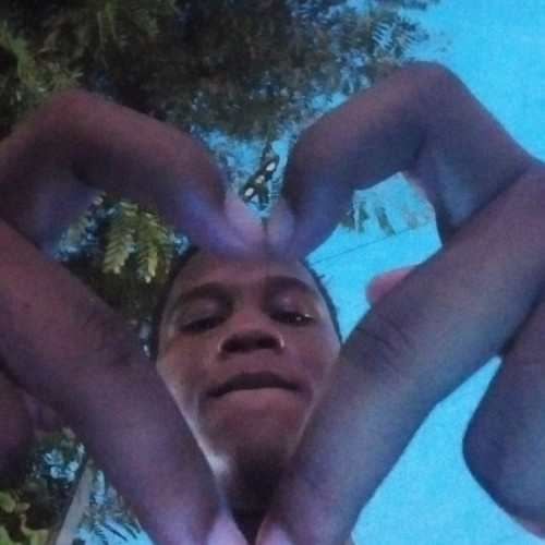 braylin v. profile photo