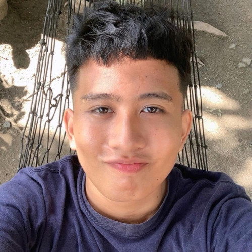 Vien Andre D. profile photo